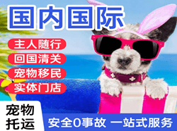 三女河机场货运国际宠物托运 【国